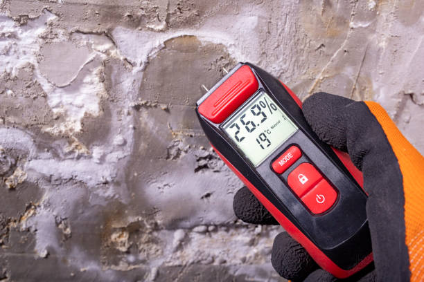 Best Toxic Mold Removal  in Winslow, AZ