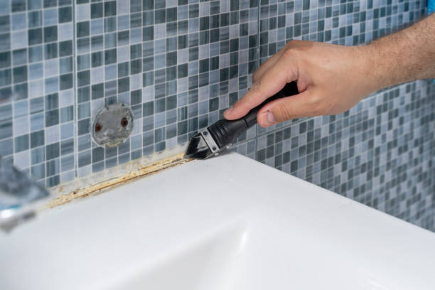 Best Residential Mold Removal  in Winslow, AZ