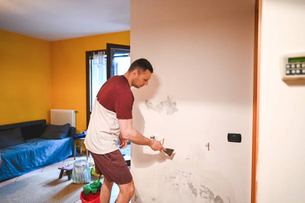 Best Mold Testing  in Winslow, AZ